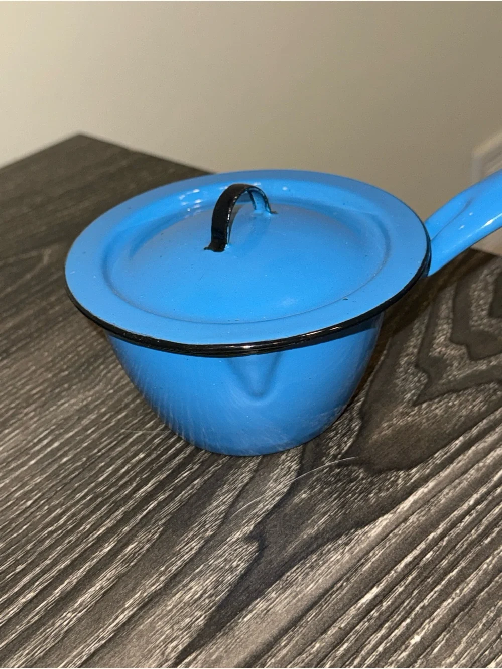 Porcelain enamel blue shell handled pot with cover